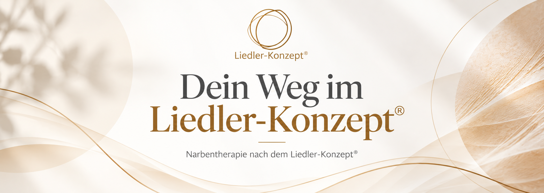 Dein Weg im Liedler Konzept